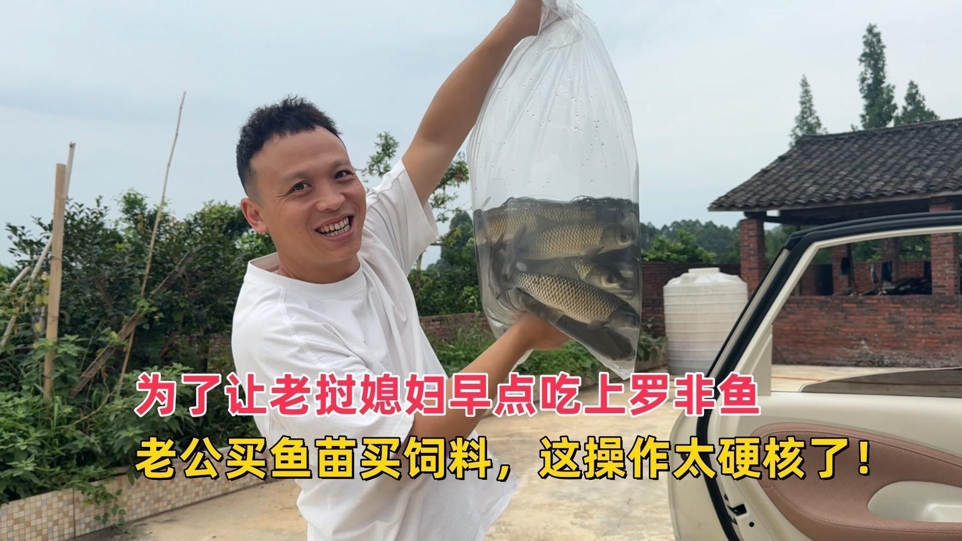 紅金龍魚一天喂多少合適：紅金龍魚吃什么長得快老農(nóng)談三農(nóng)如何科學喂養(yǎng)紅金龍魚 紅金龍魚一天喂多少合適：紅金龍魚吃什么長得快老農(nóng)談三農(nóng)如何科學喂養(yǎng)紅金龍魚 龍魚百科 第1張