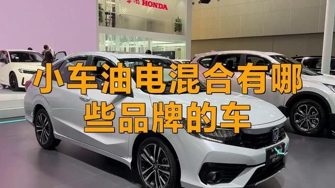 混合裝系列有哪些知名品牌？：油電混合汽車排行榜前十名品牌焦糖暴走喵品牌排行榜