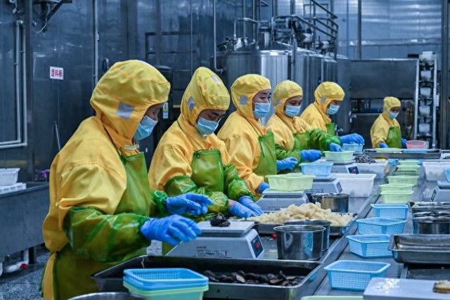 金龍魚預制菜業務的毛利率是多少？：金龍魚預制菜業務毛利率如何？