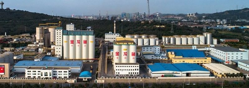 金龍魚央廚業務的具體進展如何？：金龍魚央廚業務何時布局？