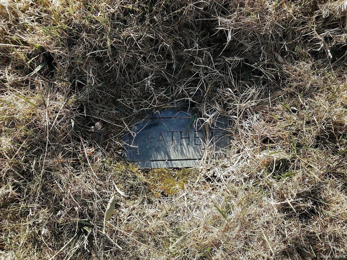 三元龍魚(yú)的飼養(yǎng)成本大概是多少？，三元龍魚(yú)的飼養(yǎng)成本