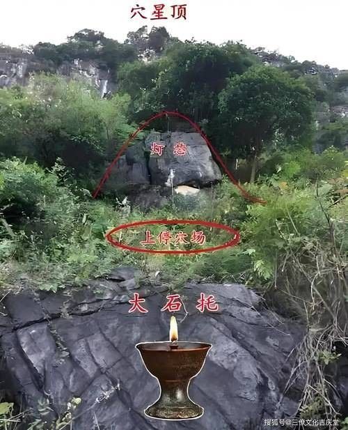 龍脈禁忌對人有何影響：龍脈禁忌對人有何影響， 龍脈禁忌對人有何影響：龍脈禁忌對人有何影響， 龍魚百科 第3張