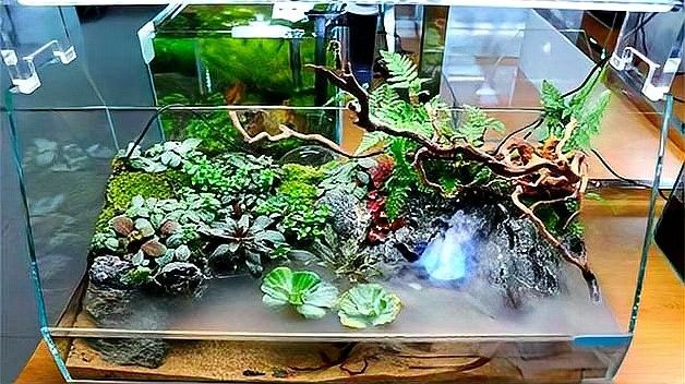 加鹽后多久換水？：魚缸加鹽后多久換水養魚人說魚養金魚到底多久放一次鹽 加鹽后多久換水？：魚缸加鹽后多久換水養魚人說魚養金魚到底多久放一次鹽 龍魚百科 第3張