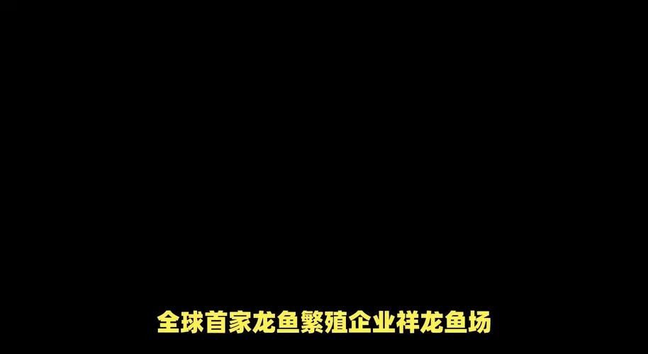 帕里哪個水族館龍魚好？祥龍魚場龍魚：北京哪個水族館的龍魚好