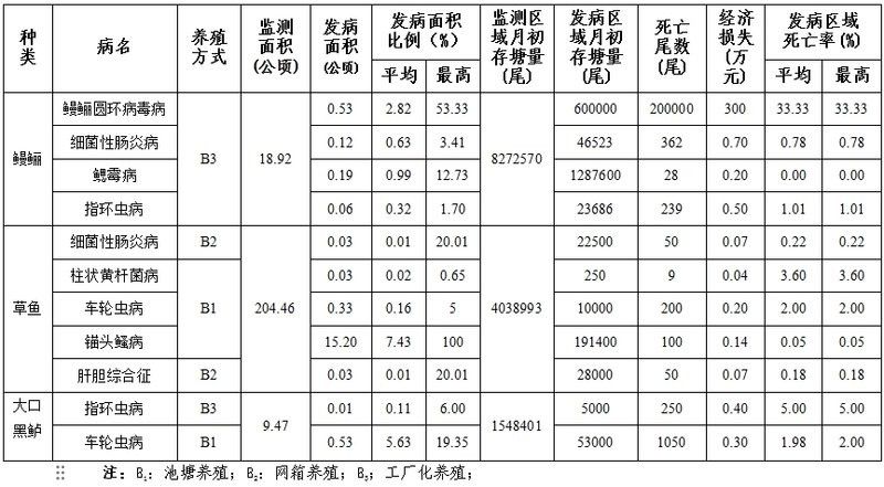 龍魚真菌病和寄生蟲感染哪個更常見：如何區分龍魚真菌病和寄生蟲感染？