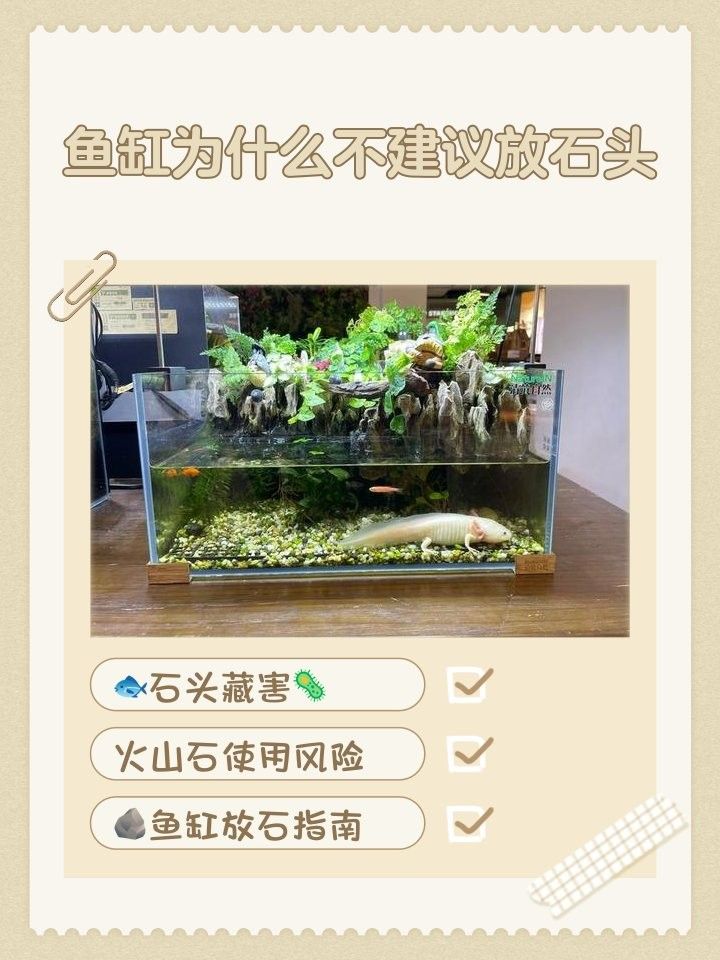 哪些石頭不適合龍魚缸？：不適合放入龍魚缸的石頭類型
