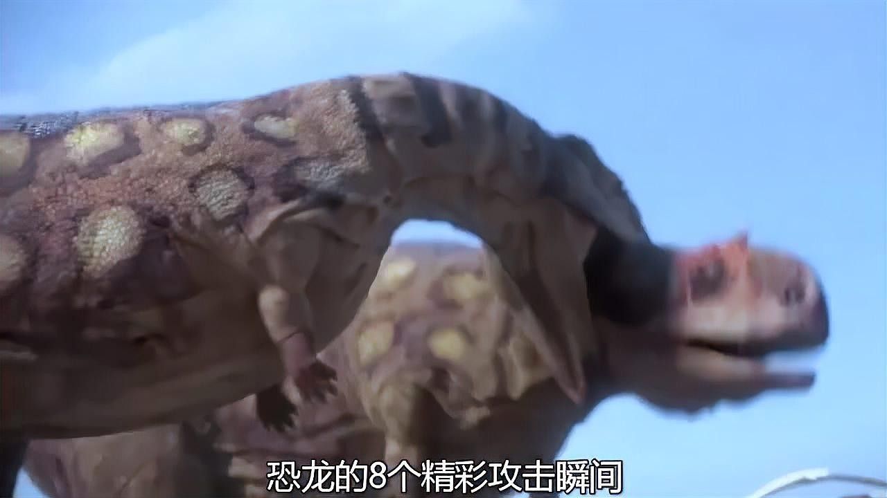 恐龍魚攻擊時有哪些聲音？：六角恐龍魚為什么會有“嗚帕魯帕”聲，六角恐龍魚的神秘叫聲