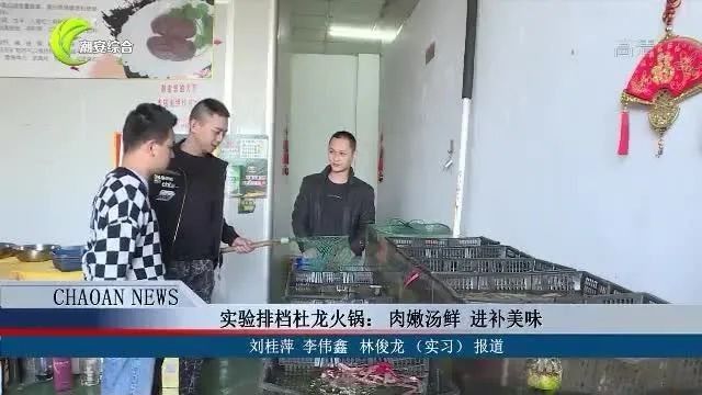 杜龍魚(yú)有哪些常見(jiàn)的烹飪方法：杜龍魚(yú)的烹飪方法 杜龍魚(yú)有哪些常見(jiàn)的烹飪方法：杜龍魚(yú)的烹飪方法 龍魚(yú)百科 第6張