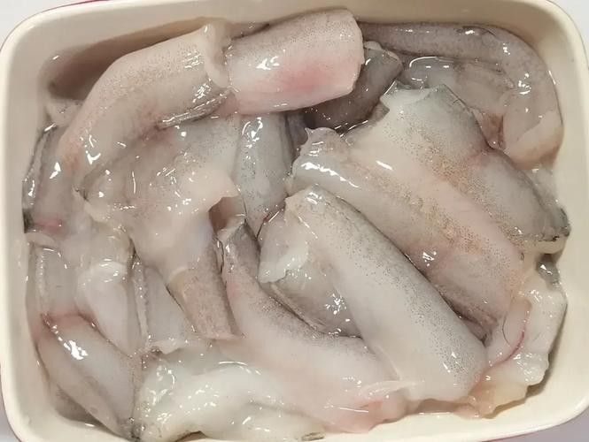 東海小白龍魚的價格是多少：東海小白龍魚價格