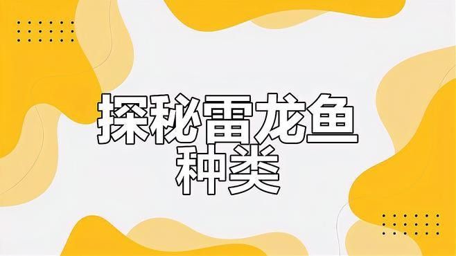 有哪些品種的雷龍魚比較膽小？：膽小的雷龍魚品種及飼養建議及飼養建議 有哪些品種的雷龍魚比較膽小？：膽小的雷龍魚品種及飼養建議及飼養建議 龍魚百科 第3張