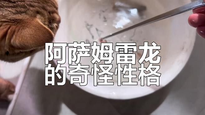 有哪些品種的雷龍魚比較膽小？：膽小的雷龍魚品種及飼養建議及飼養建議 有哪些品種的雷龍魚比較膽小？：膽小的雷龍魚品種及飼養建議及飼養建議 龍魚百科 第1張