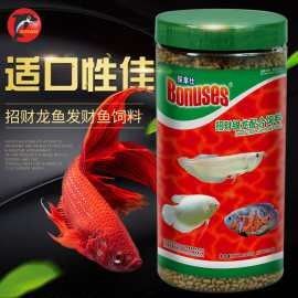 政錫龍魚的價格范圍是多少？：政錫龍魚多少錢一條