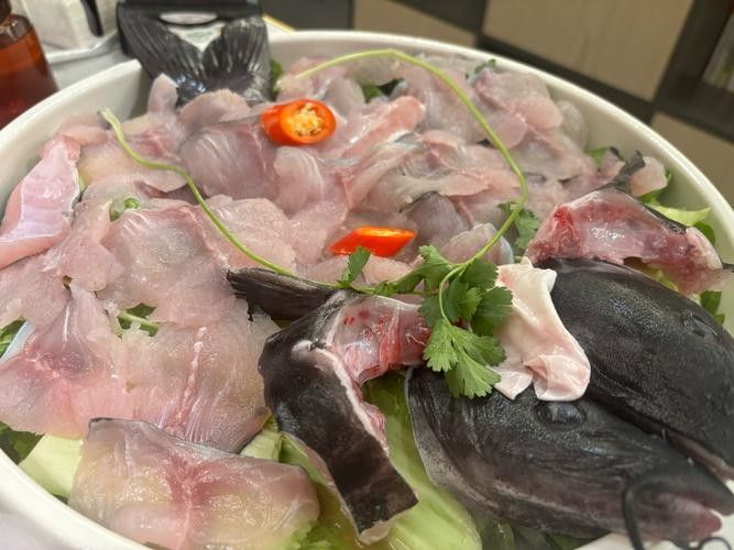 如何預約龍魚市場的現殺服務？：如何預約龍魚市場現殺服務