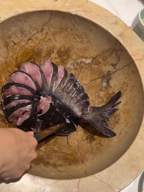 如何預約龍魚市場的現殺服務？：如何預約龍魚市場現殺服務