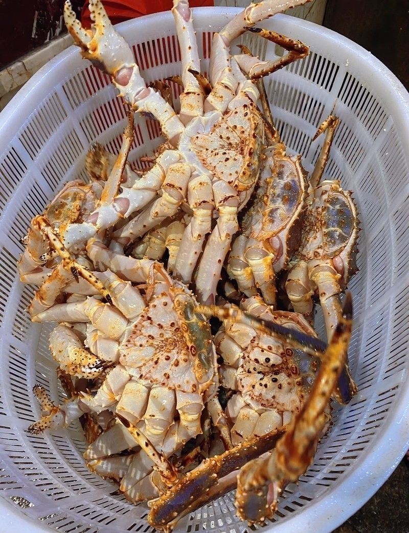 金龍魚批發市場的營業時間：金龍魚批發市場的營業時間是多久？ 金龍魚批發市場的營業時間：金龍魚批發市場的營業時間是多久？ 龍魚百科 第3張