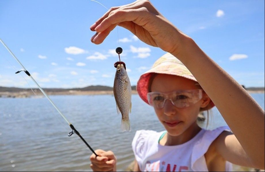 跨世界釣魚有限制嗎：跨世界釣魚受到的限制