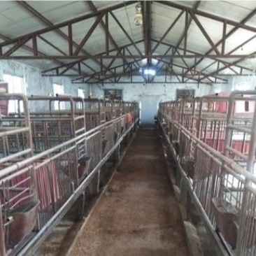 這些養殖基地的價格范圍是多少？：養殖基地價格范圍有哪些影響因素？