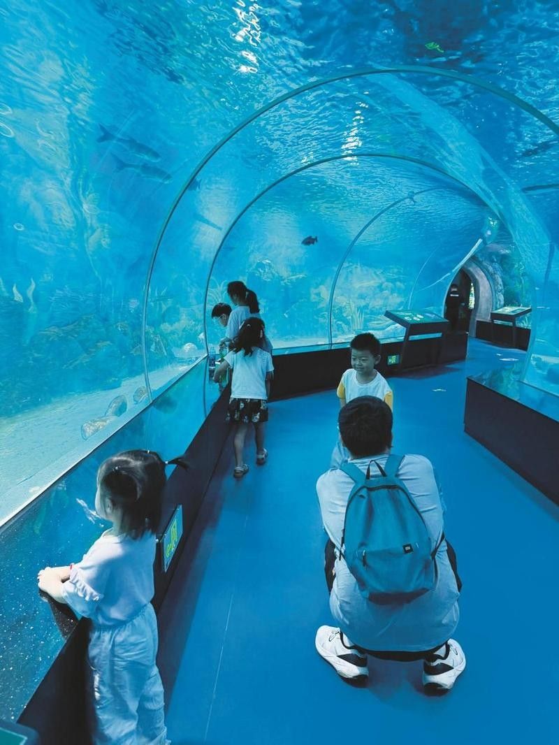 交口哪個(gè)水族館龍魚(yú)好？祥龍魚(yú)場(chǎng)龍魚(yú)：上海海洋水族館“祥龍魚(yú)場(chǎng)”獲取優(yōu)質(zhì)龍魚(yú)供應(yīng)商資源