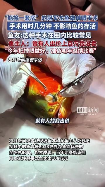 做龍魚掉眼手術(shù)需要多長時間恢復(fù)：龍魚封缸治療掉眼需要多久
