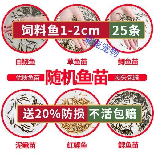 給我推薦一些適合龍魚的活食品牌：活食品牌推薦