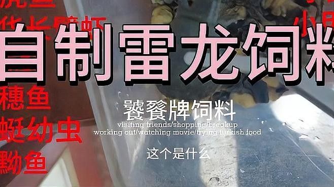 如何自制雷龍魚(yú)飼料？：自制雷龍魚(yú)糧大升級(jí),超級(jí)配方來(lái)襲!