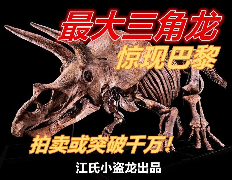 三角恐龍魚能長多大：三角恐龍魚的繁殖方式是什么三角恐龍魚的繁殖方式是什么