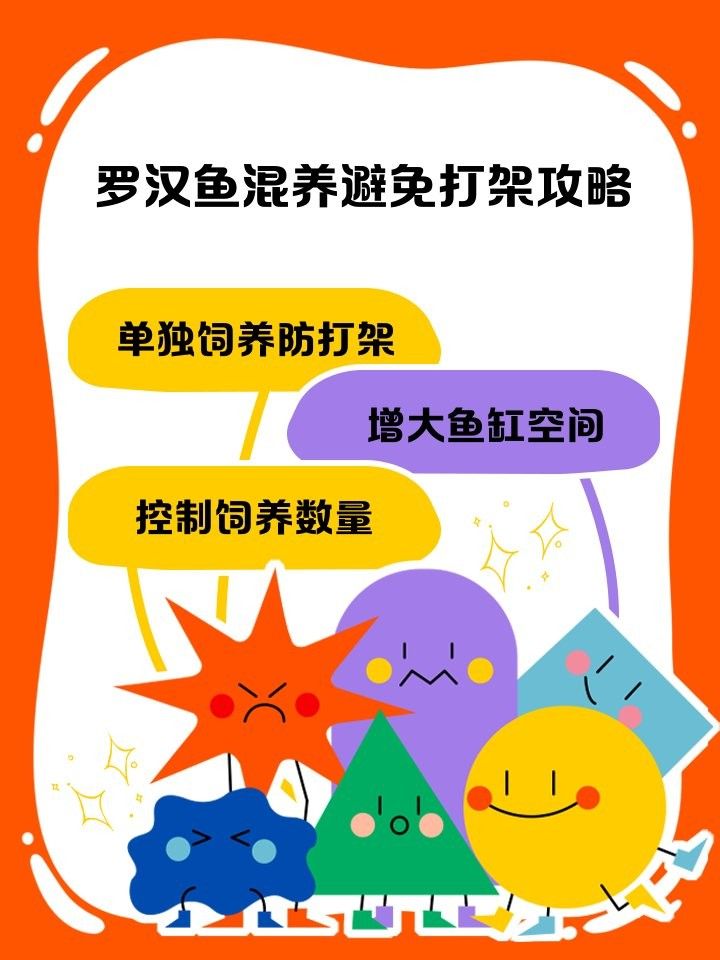 羅漢和金龍魚混養(yǎng)需要多長(zhǎng)時(shí)間適應(yīng)：羅漢魚與金龍魚混養(yǎng)的適應(yīng)時(shí)間因個(gè)體差異而異