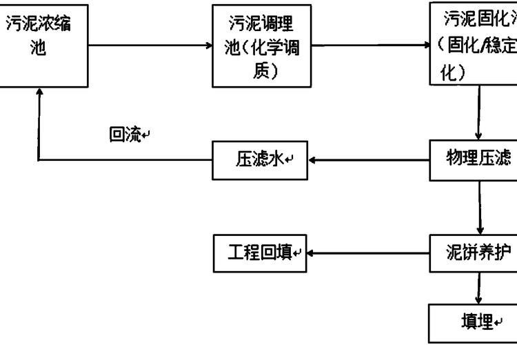 如何保持水質穩定：養魚經驗分享：如何保持水質穩定，在當今社會