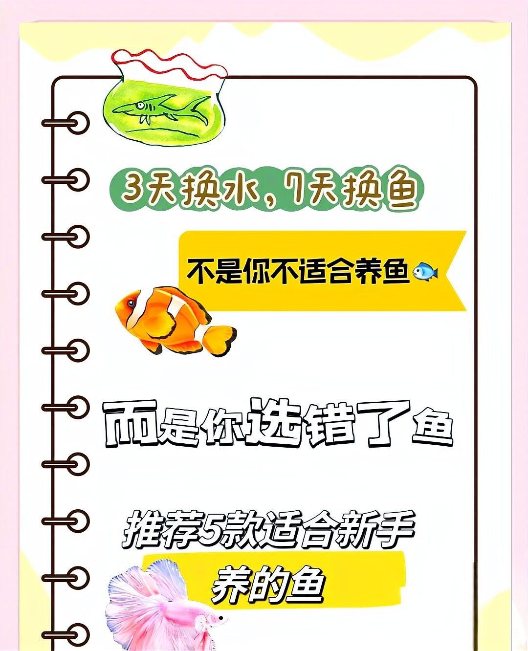 哪種混養方案最適合新手？：新手如何選擇最適合的混養方案