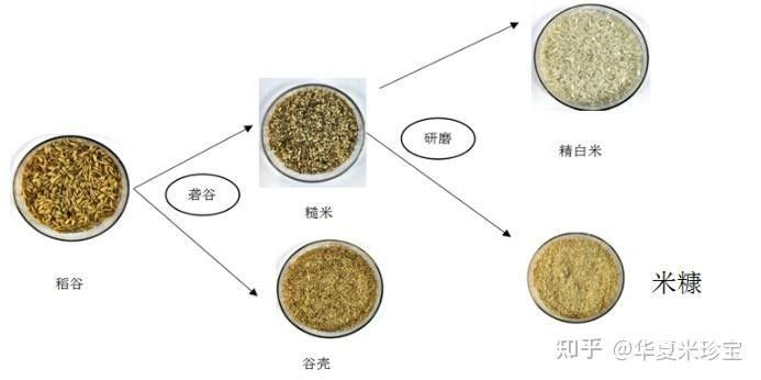 米糠粕的主要用途是什么：稻谷加工的副產(chǎn)物——米糠