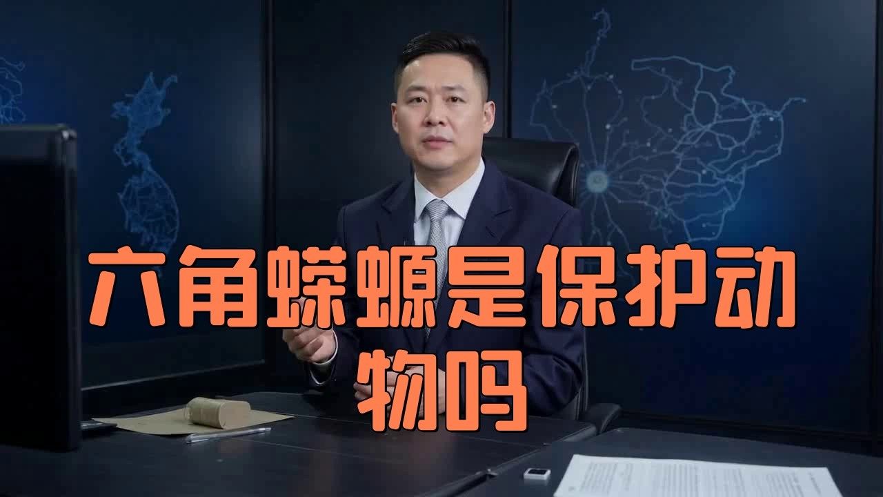 人工繁殖的六角恐龍魚如何合法購買：人工繁殖的六角恐龍魚 人工繁殖的六角恐龍魚如何合法購買：人工繁殖的六角恐龍魚 龍魚百科 第3張