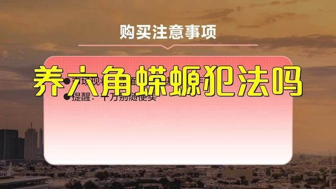 人工繁殖的六角恐龍魚如何合法購買：人工繁殖的六角恐龍魚 人工繁殖的六角恐龍魚如何合法購買：人工繁殖的六角恐龍魚 龍魚百科 第1張