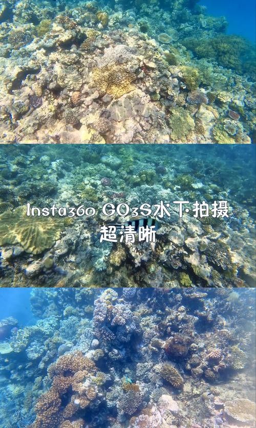 有哪些三腳架適合水下拍攝：攝影需要特殊的三腳架來確保設備的穩定性和防水性能