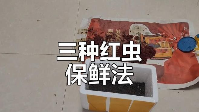 紅蟲去頭后如何保存？：wps辦公胡老師：紅蟲放冰箱里能保存多久木燚燚