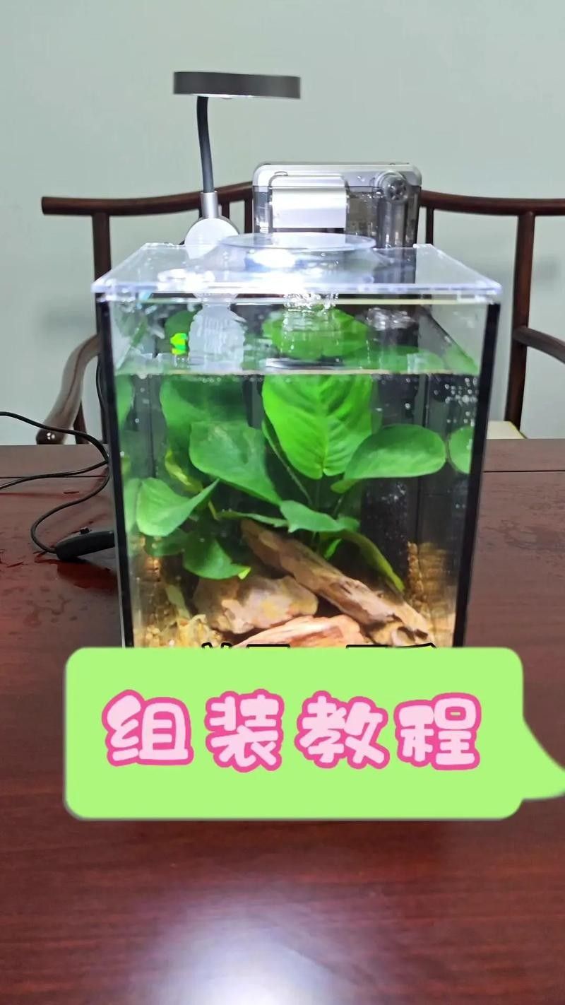 龍魚之巔有DIY魚缸教程嗎？：龍魚之巔diy魚缸制作教程