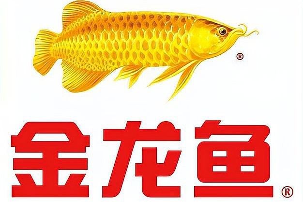 梁汾金龍魚醋業(yè)有無(wú)負(fù)面新聞：梁汾金龍魚醋業(yè)有無(wú)負(fù)面新聞關(guān)于梁汾金龍魚醋業(yè)的負(fù)面新聞 梁汾金龍魚醋業(yè)有無(wú)負(fù)面新聞：梁汾金龍魚醋業(yè)有無(wú)負(fù)面新聞關(guān)于梁汾金龍魚醋業(yè)的負(fù)面新聞 龍魚百科 第5張