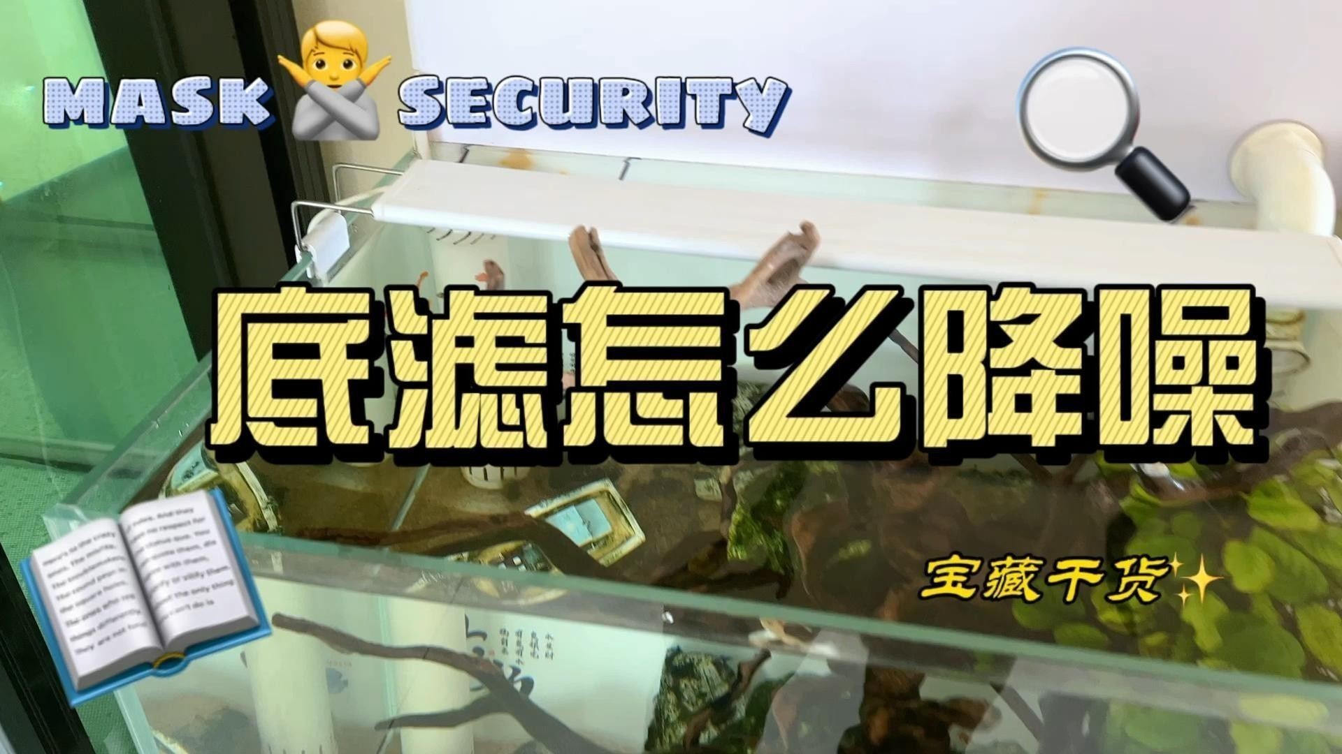 底濾系統噪音如何解決？：底濾系統噪音問題解決方法 底濾系統噪音如何解決？：底濾系統噪音問題解決方法 龍魚百科 第3張