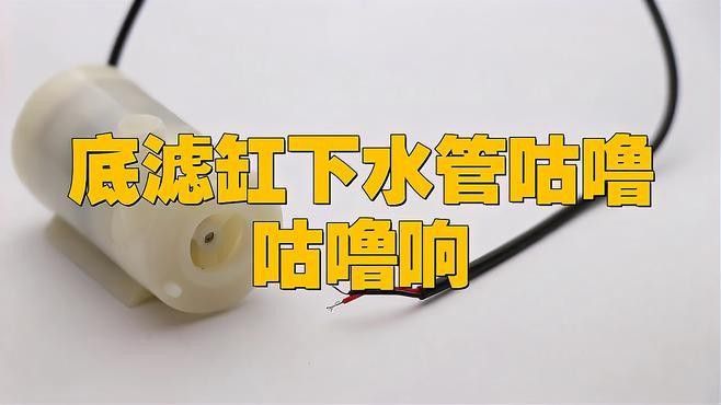 底濾系統噪音如何解決？：底濾系統噪音問題解決方法 底濾系統噪音如何解決？：底濾系統噪音問題解決方法 龍魚百科 第2張