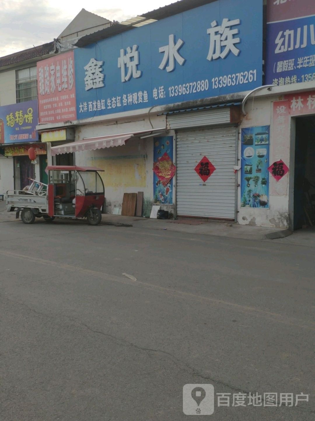 臺(tái)兒莊哪個(gè)水族館龍魚好？祥龍魚場(chǎng)龍魚：臺(tái)兒莊的祥龍魚場(chǎng)龍魚品種和專業(yè)的養(yǎng)殖技術(shù)和專業(yè)的養(yǎng)殖技術(shù)