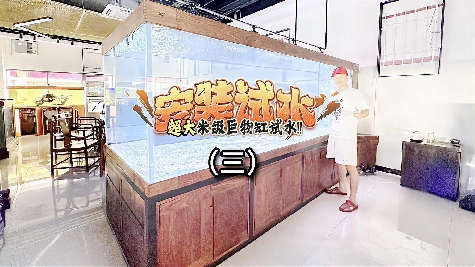 龍魚虎魚魟魚混養(yǎng)需要哪些設(shè)備：魚、虎魚和魟魚混養(yǎng)的寓意有多少