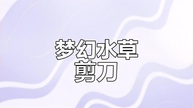 草缸造景需要哪些工具：草缸造景基本工具清單