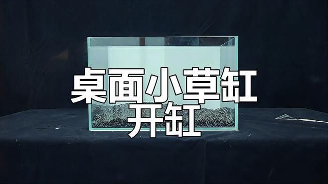 草缸造景需要哪些工具：草缸造景基本工具清單