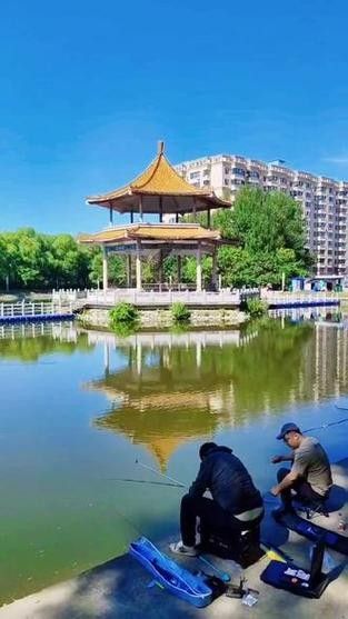 如何聯系哈爾濱龍魚灣垂釣園：哈爾濱龍魚灣垂釣園的聯系方式是一些可能的步驟