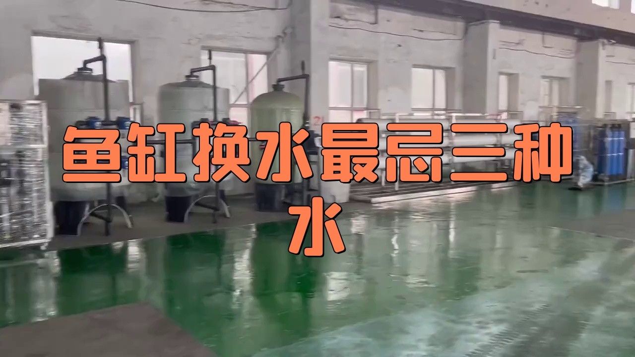 換水時(shí)水溫差多少合適：熱帶魚(yú)換水的注意事項(xiàng)