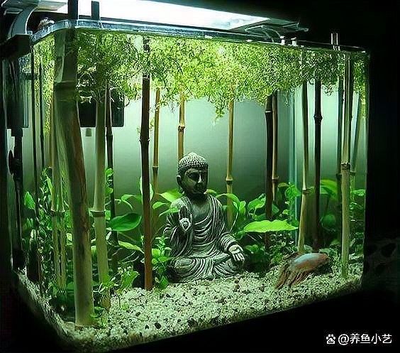 換水時(shí)水溫差多少合適：熱帶魚(yú)換水的注意事項(xiàng)