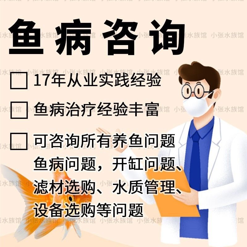 龍魚(yú)醫(yī)生提供哪些服務(wù)？：龍魚(yú)醫(yī)生提供專業(yè)整形服務(wù)，龍魚(yú)醫(yī)生提供服務(wù)詳細(xì)摘要