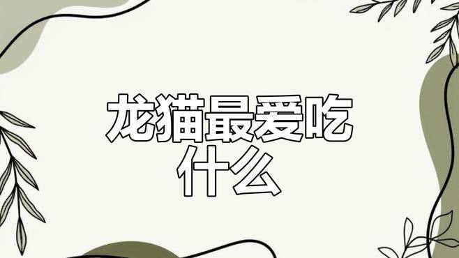 龍貓能吃什么零食：適合龍貓食用的零食類型，龍貓零食排行榜