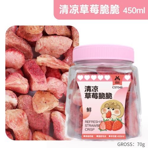 龍貓能吃什么零食：適合龍貓食用的零食類型，龍貓零食排行榜