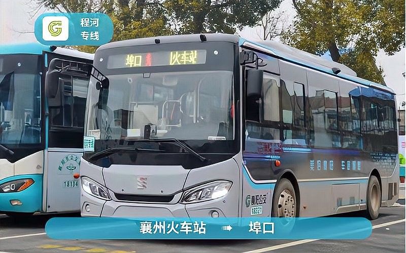 夜市附近有哪些公交站點？：北京部分夜市及周邊公交站點信息 夜市附近有哪些公交站點？：北京部分夜市及周邊公交站點信息 龍魚百科 第3張