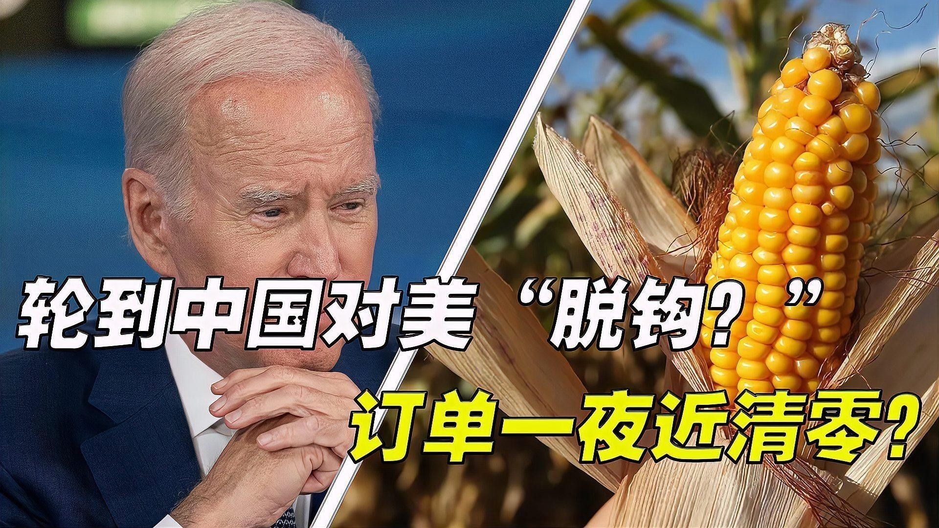 全球糧食貿易趨勢如何？：全球糧食貿易趨勢
